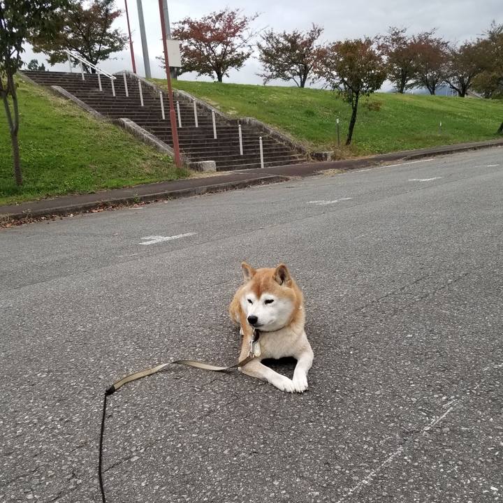 32ae0fd0 9eb7 4831 9316 cf9ba26adc55 1665560355307