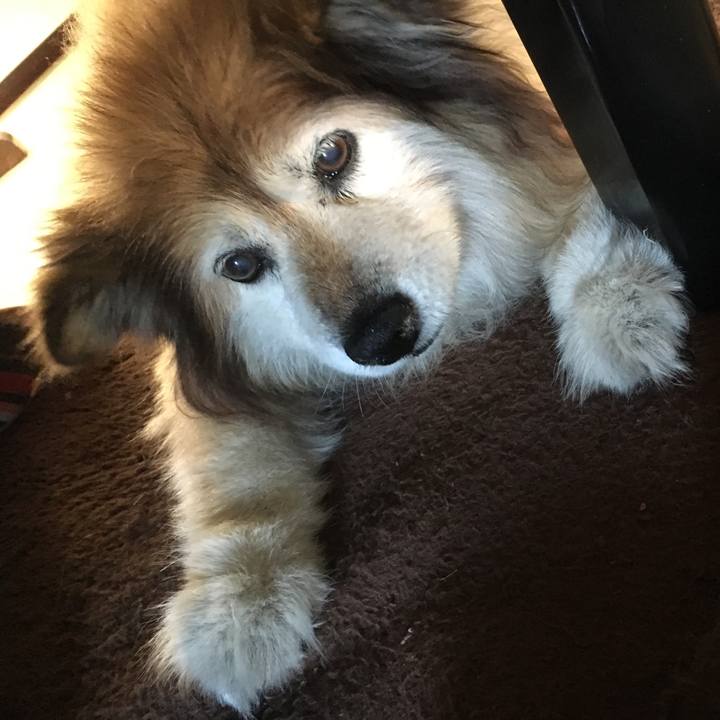 32ae370f 0daa 45ea 81b7 b1486c43b513 1554332697172