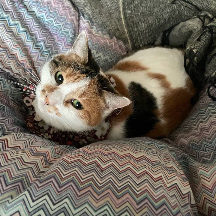 32ae42f1 5bfb 4e0c 8803 913615030fd2 1766446706076