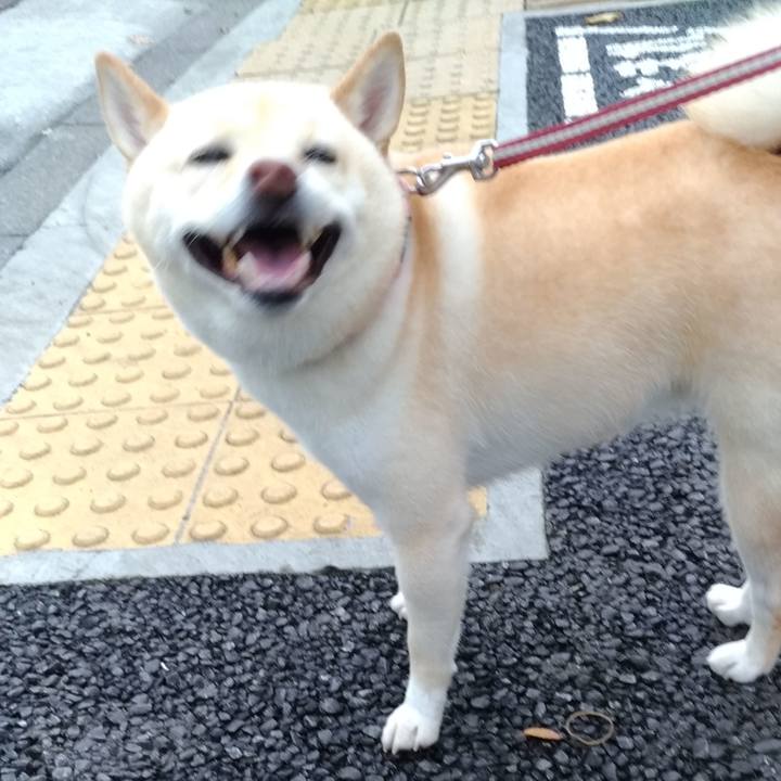 32ae8ef2 6a7d 4f2a be07 ec61f9692d0d 1599861584033