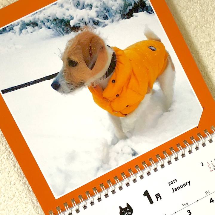 32ae93b1 3241 4ea0 baa5 600df0a1b45f 1546093125980