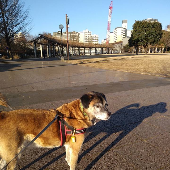 32aeb569 2c35 4c92 bee9 8e7e8f38e1a9 1547596361062