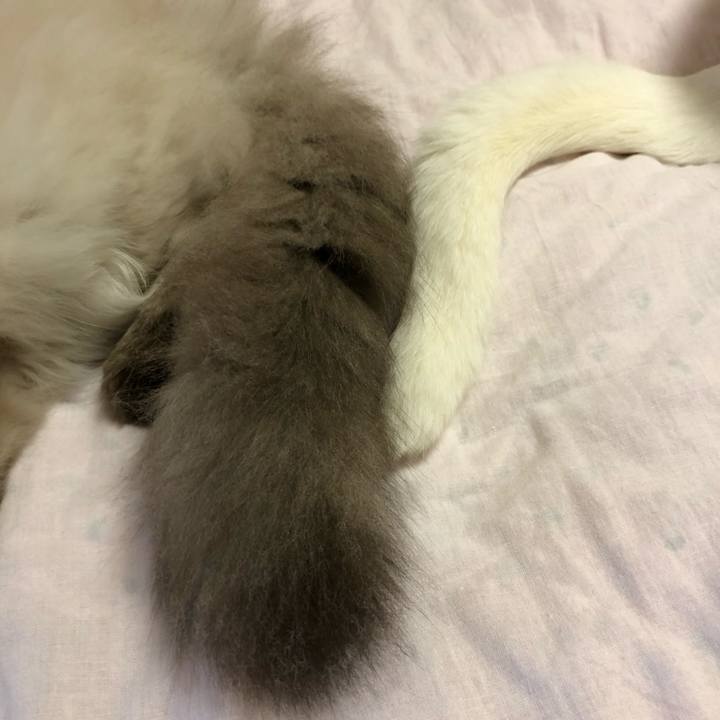 32aeb77b 7cde 44bb afe4 c573bb599528 1634469462356