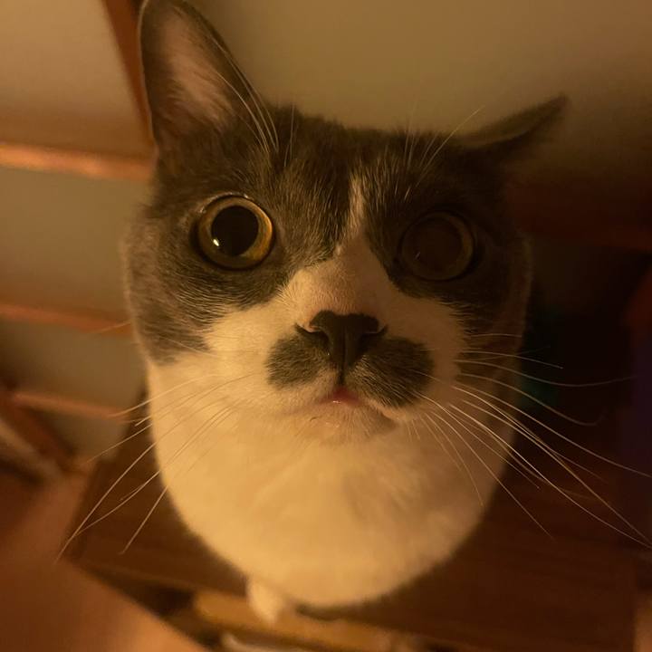 32aee2c0 1a1f 4659 84ca da6af8b3223f 1752760099096