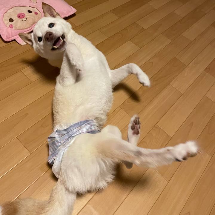 32aee70d 48dc 4a46 b91a 6d7f567ff09e 1662221029133