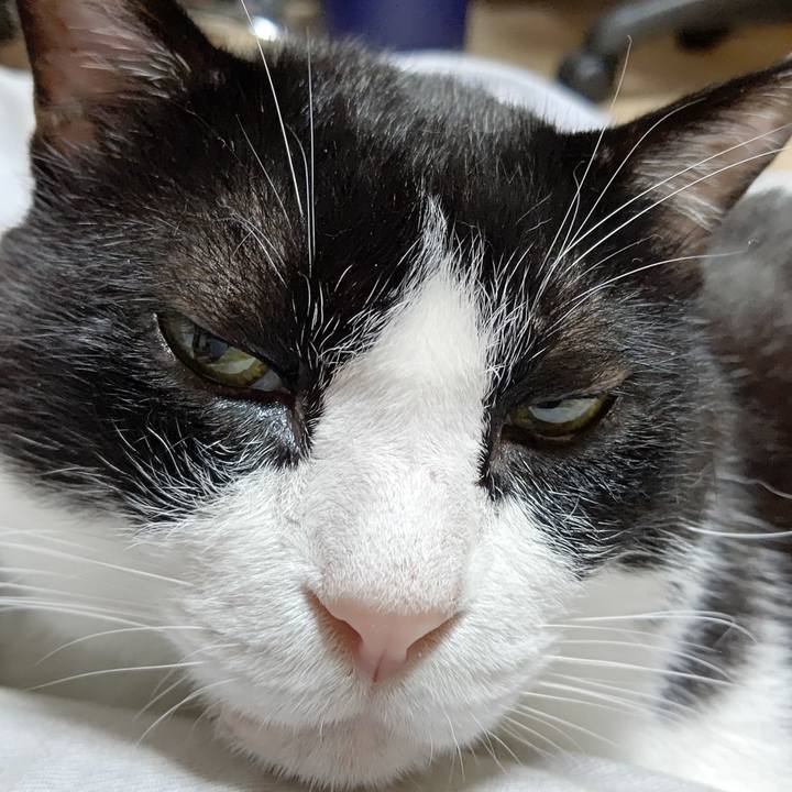 32aef353 36b2 41ff bc62 7816bb4fb83a 1597290754295