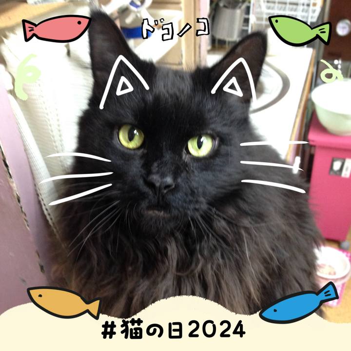 32aefc18 4cf5 4e43 b483 44b835ba9c52 1708583999229