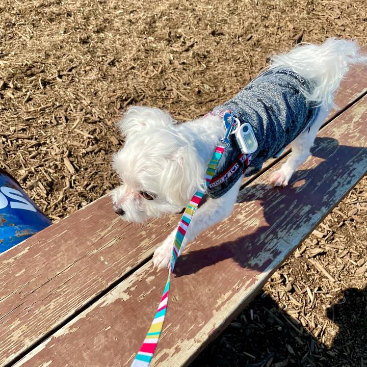 32af0b71 93c6 4aa1 aff5 fad09ca445b1 1635234936636