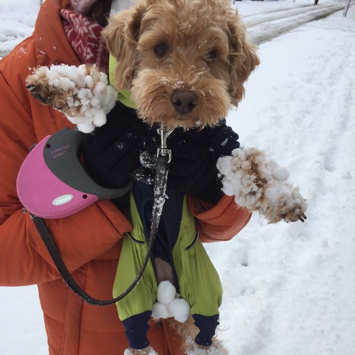 32af2397 f05d 4a93 a09f 54225ceaf7ef 1511048279795