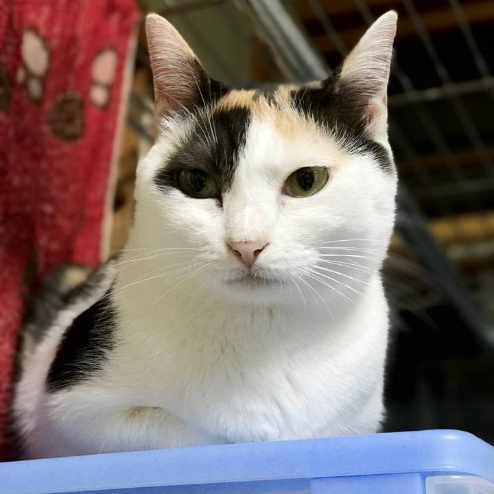 32af2728 242b 4c49 8c84 ffd5ec8ac52c 1535808354948