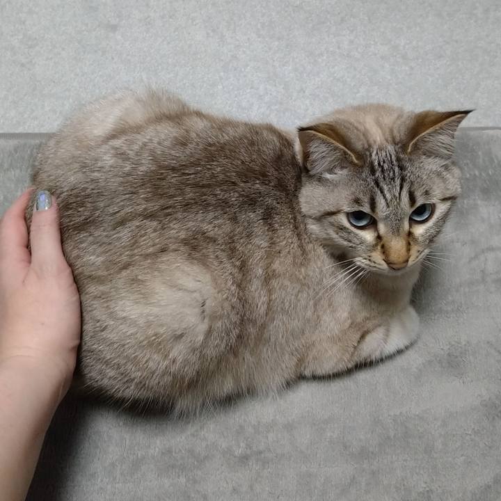 32af2b5d a475 4c7f b26c 6d5b7d436b1a 1613310346653