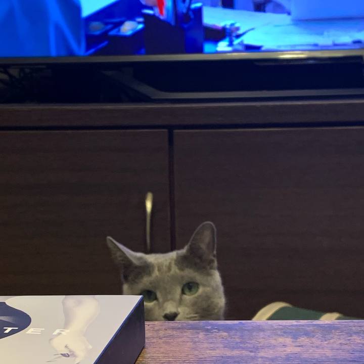 32af2ddf 2c59 4d90 8e78 5e45a0528a8b 1677203365453