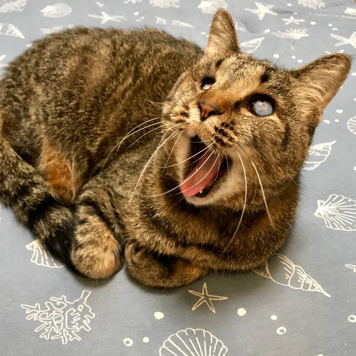 32af33ec 23b8 4138 8ba8 1afd0caa8483 1560671768719