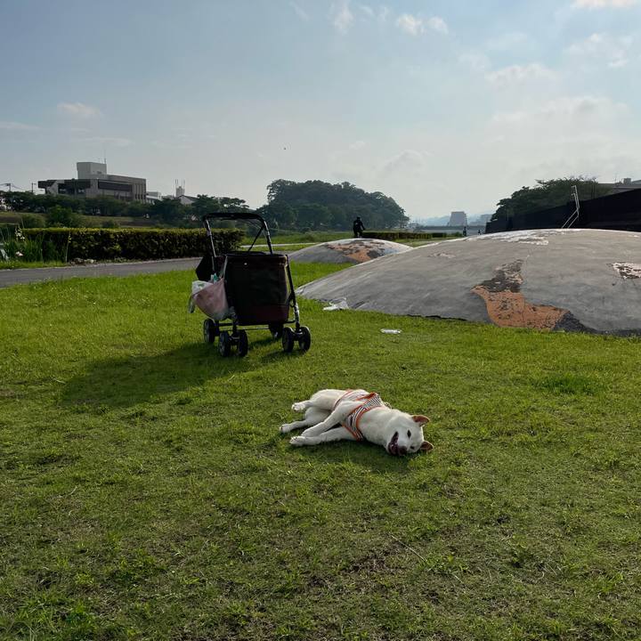 32af6198 5e1f 42be ad89 51642f4a4f2e 1655903515856