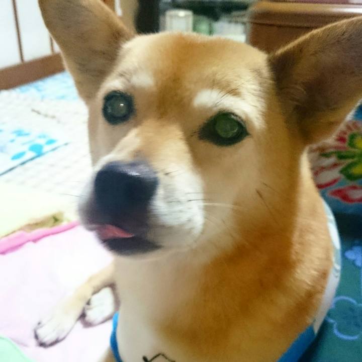 32af6d5c 6381 48ae 9af3 c2fbd18bb6d8 1582514054089