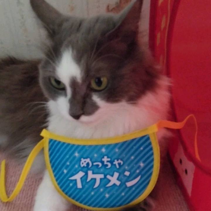 32afbcac 9a81 44b2 8b3c d4f607802f98 1695536680264