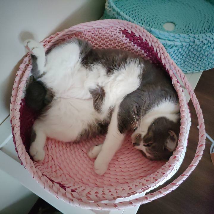 32afdc9e 6847 4f04 be6e a5bad1c26bab 1657586308919