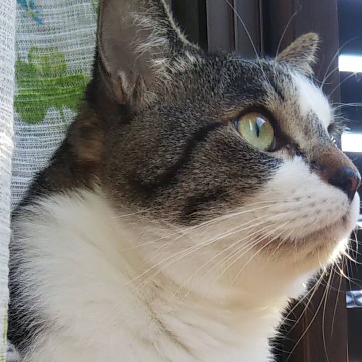 32aff23c de3e 4a36 90db 12dff951723f 1609032328772