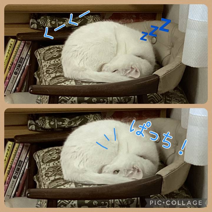 32afff03 d9f0 42a8 a338 472891d17fd4 1673564203868