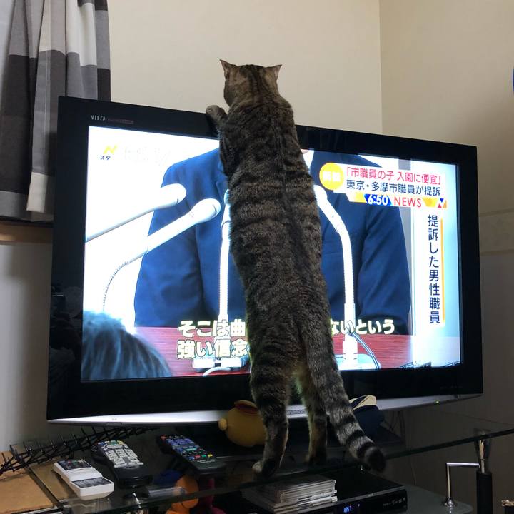 32b01284 f03e 43c5 ac35 50949abf14e9 1516333173552