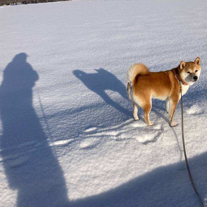 32b01841 8b13 4917 968c 218cbf66182d 1676329559348