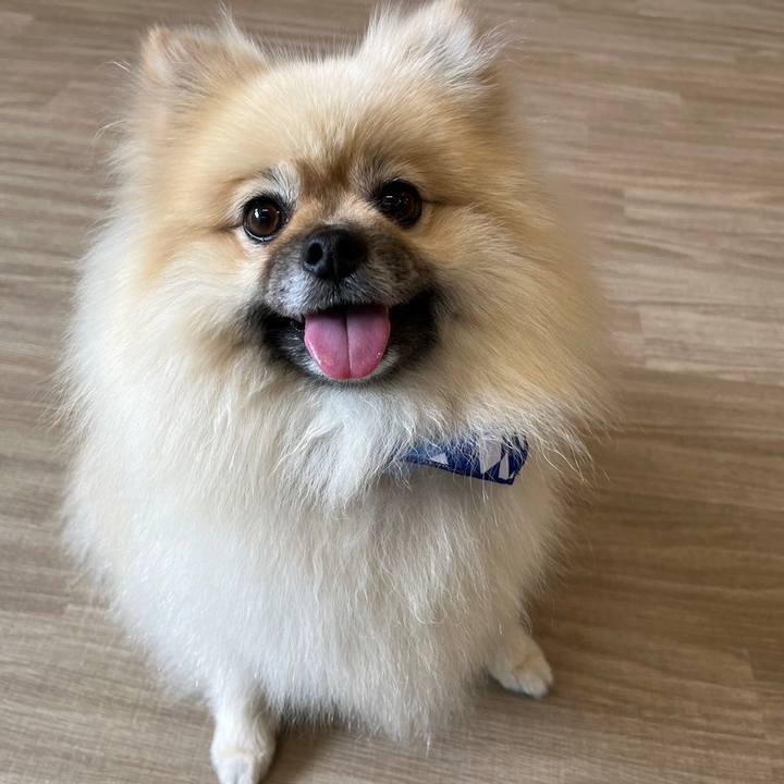 32b03590 afe0 47b1 9dd2 762285babd8d 1688953951009