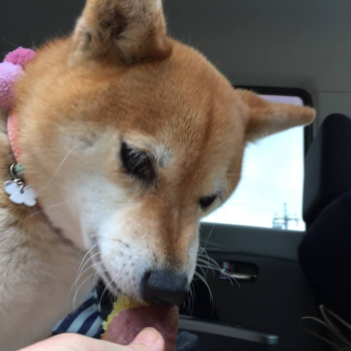 32b03fd3 4520 4112 85b8 9eb25cd88e9c 1519195619336