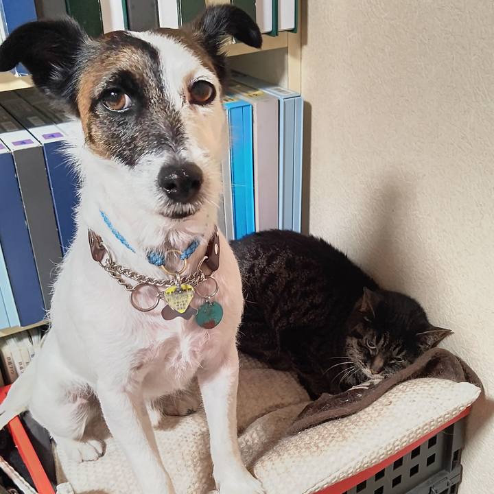 32b05f74 a794 4e5c b531 2f3b60e7530d 1655294710434