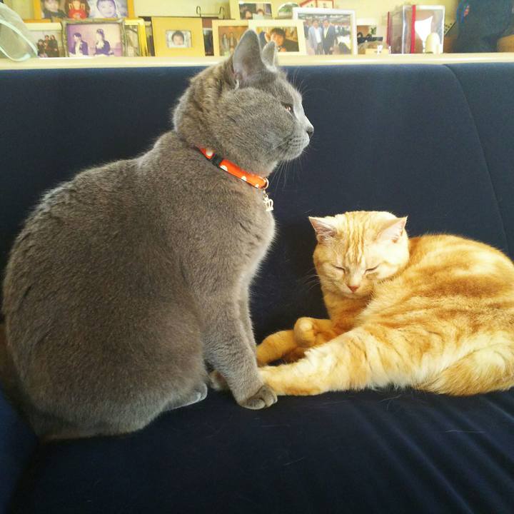 32b081cd 92ec 4790 8cf5 be18f3a9180e 1524628100402