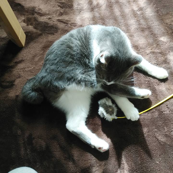 32b08217 16c7 4bac 9355 1745a8702bda 1581304369738