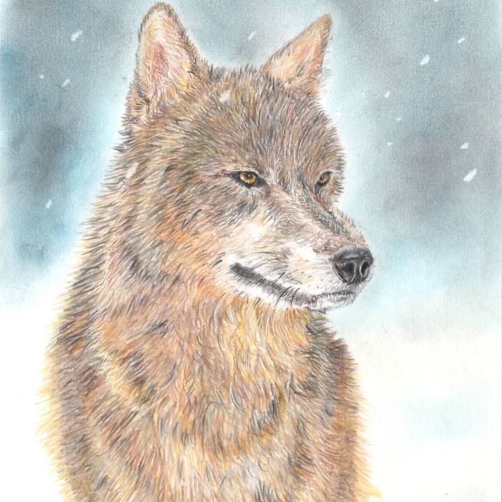 32b08eb3 d239 4938 ac42 069972fd2fbc 1650875428318