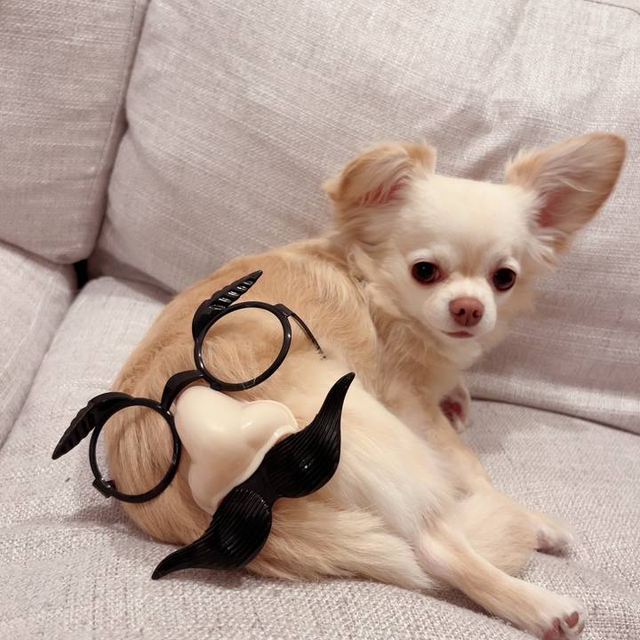 32b0e28f 923d 4322 a081 4f7f177ca40f 1716689454386