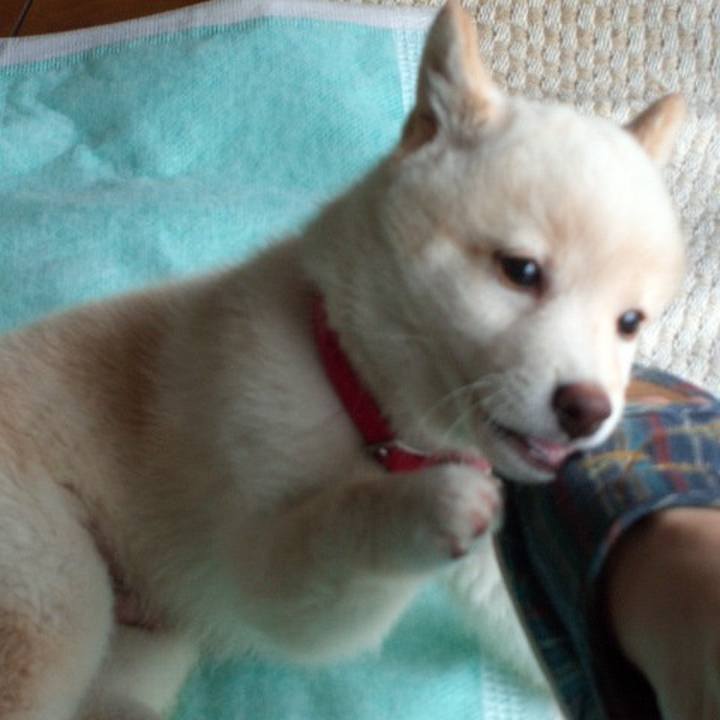 32b16fb4 d1a5 4aac 812e f4bb1db47a6c 1666017060770