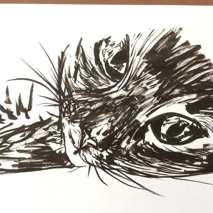 32b17e09 15b2 403f 9f20 53dc1150f0f1 1570506316195