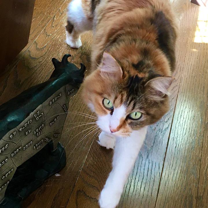 32b190df bbb2 414c 91a4 b2b7c591017e 1605165071054