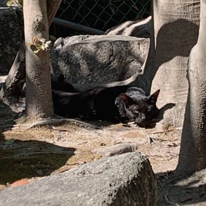 32b1a5db 8ae4 408a a6b2 7fd7100177f1 1560401501808