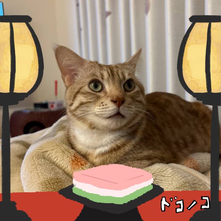 32b1ce12 237b 44ce 9bca 33589e30627c 1741609363262