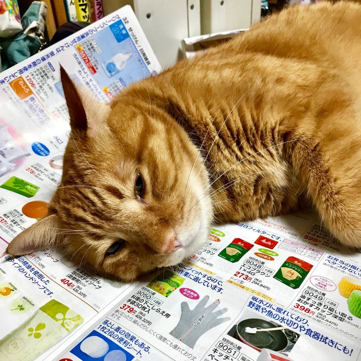 32b1e05b d0d0 48c7 84da 8428c91db3fb 1538574978900