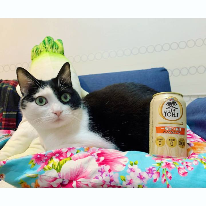 32b1fd8a a6eb 463f 8781 4f992c840a84 1637835267698