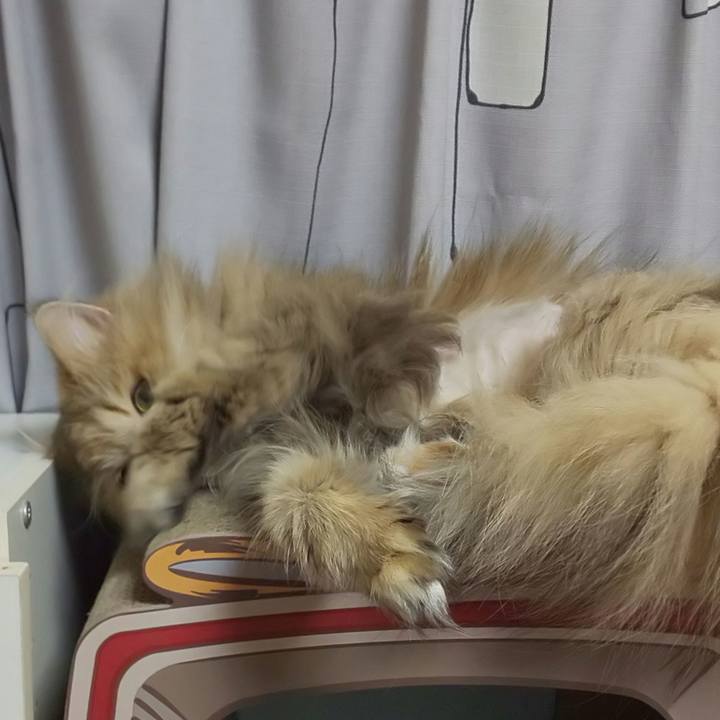 32b293e4 cd7f 4a2c b4f1 88706757dee0 1618188773470