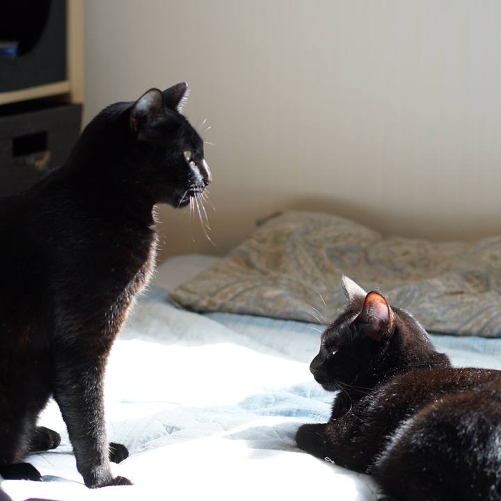 32b2b3ea 3fc1 4841 8c6f 9ce61107bda7 1555830367795