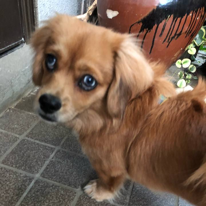 32b2b982 9621 4d04 a6b9 529a5f382569 1510006912750