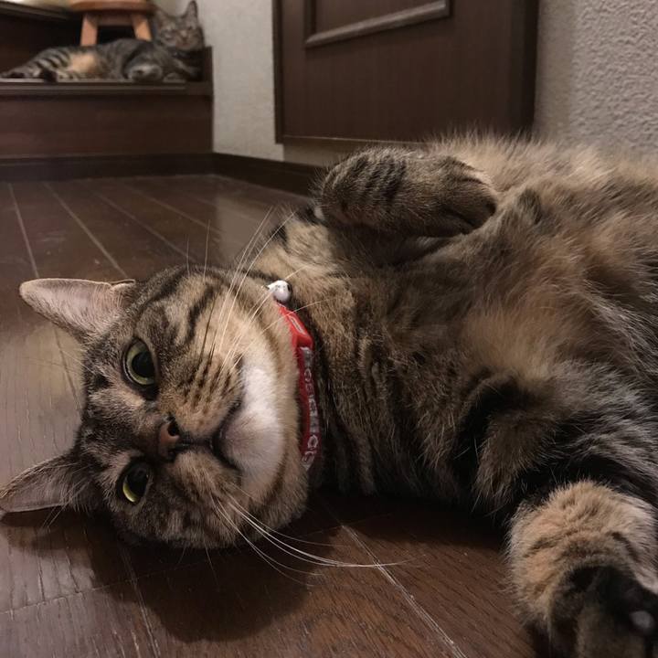 32b2d18d 28e8 4543 969a a7a4c2086541 1562851197781