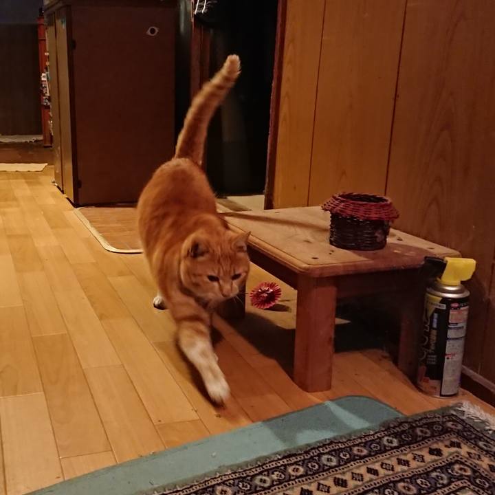 32b2d83f 2917 4b64 b42f b82d26858606 1580720232287