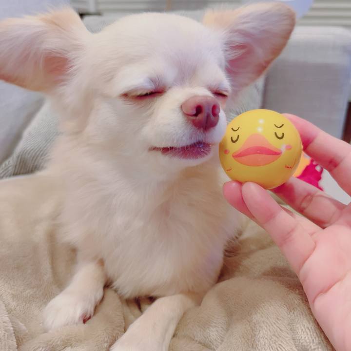 32b2e089 5510 40c1 9f5c cd057019b990 1692191144580