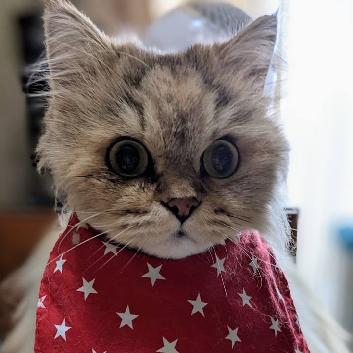 32b2e1d0 e7cf 4166 9870 f0681590a199 1670116255993