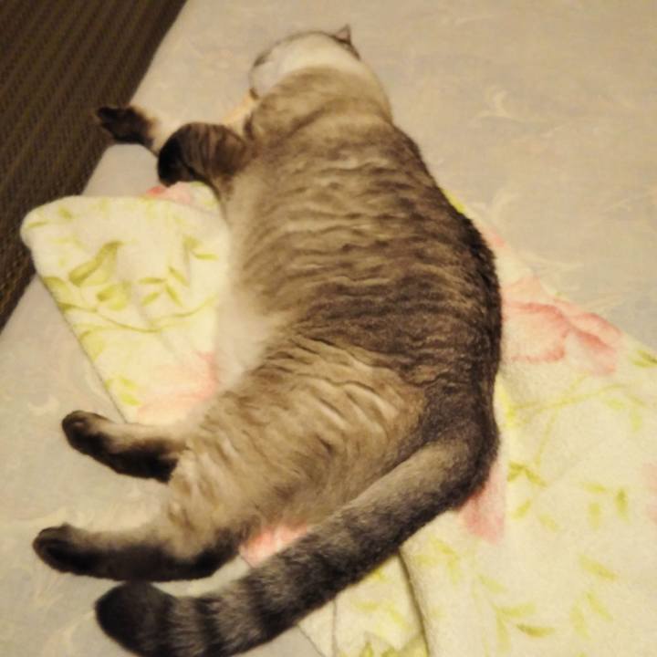 32b2e663 bf5f 4d0b a6f6 9dda6549ea0b 1564759393064