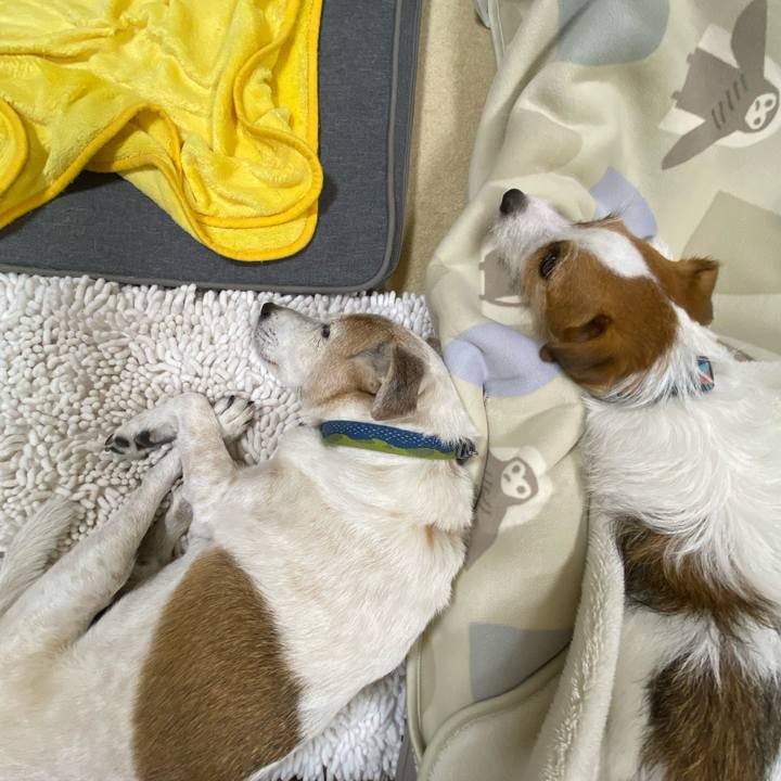 32b33b4b 94a1 4933 94e0 cec8f5f0eb4b 1696943555452