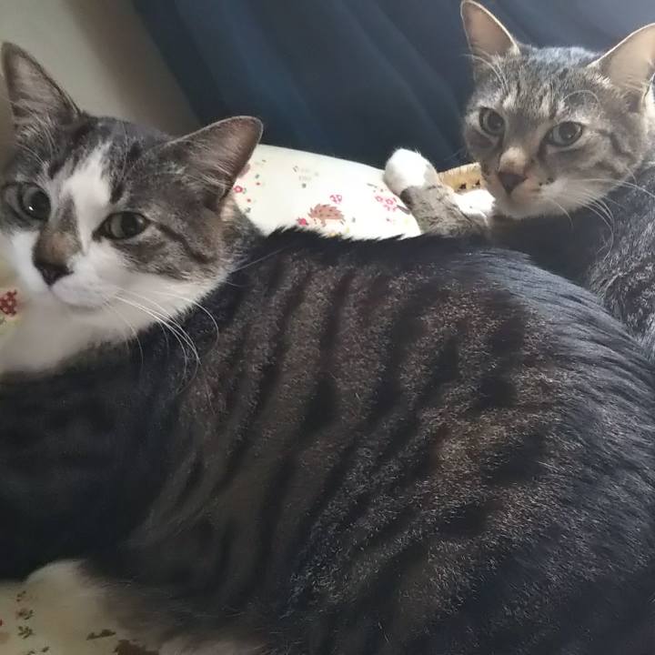 32b39446 0ec0 43f9 8e49 a66386a4a168 1604762382550