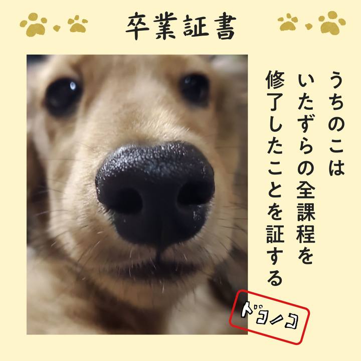 32b3cb29 efd2 4ca1 9026 16251b5fe507 1771975639716